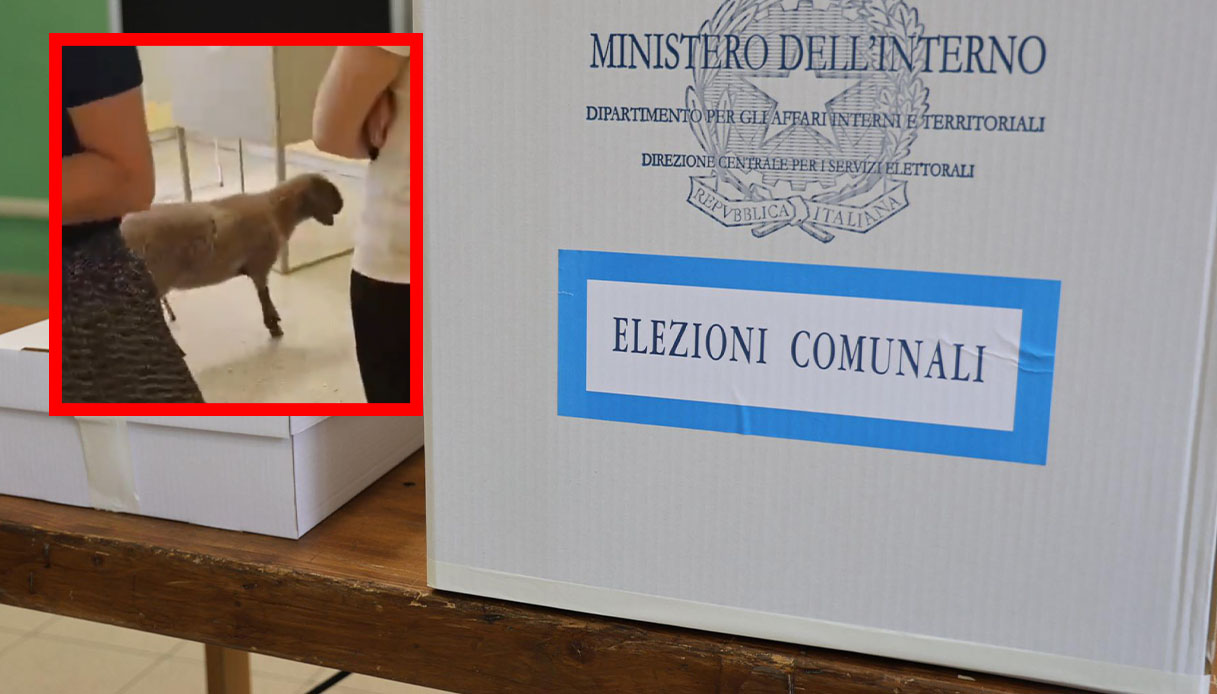 Pecora spunta al seggio di Lecce per il ballottaggio alle elezioni