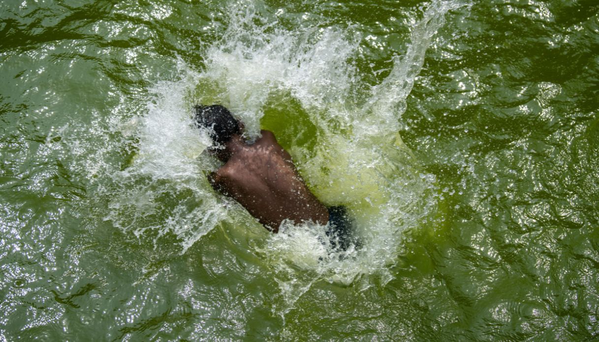 Acqua ameba mangia cervello