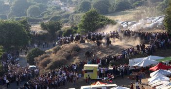 ardia-san-costantino-sedilo-caduta-cavalli