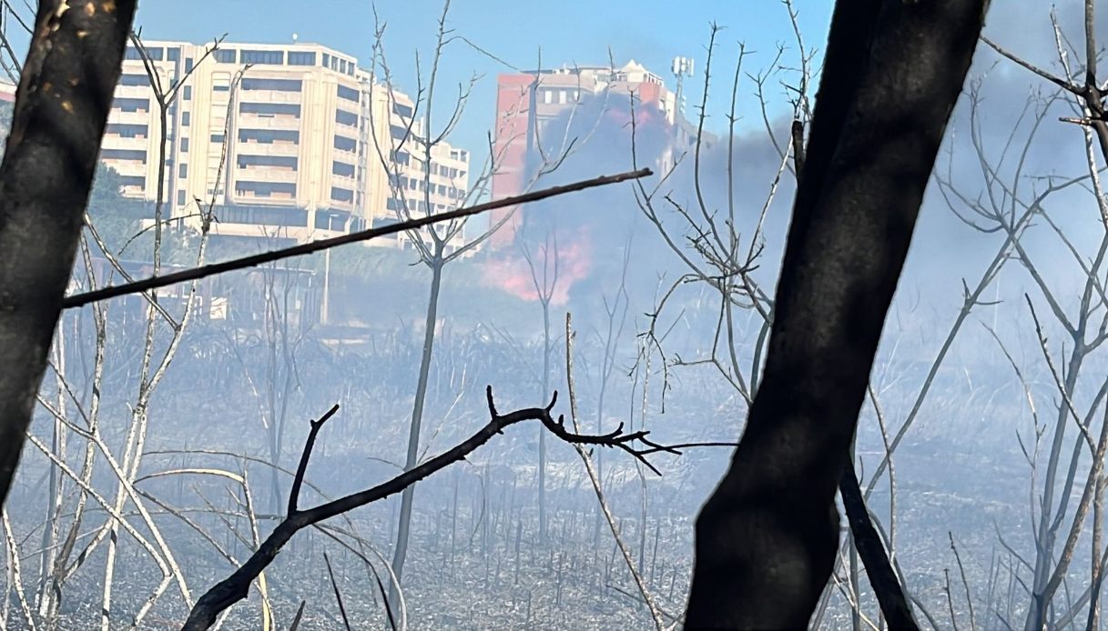 incendi Sardegna Sassari Ogliastra