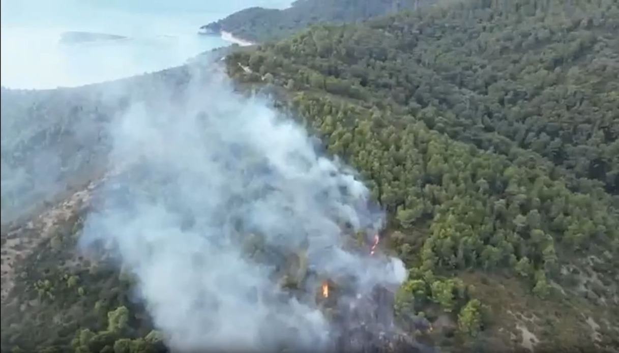 incendio Gargano Vieste Baia San Felice