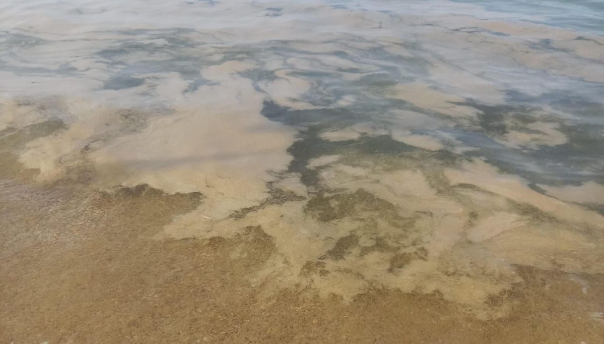 Mare Adriatico acqua caldo