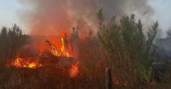 roma-incendi-fiamme-fumo-cimitero