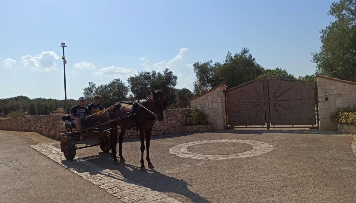 calesse-giorgia-meloni-ceglie-messapica-puglia