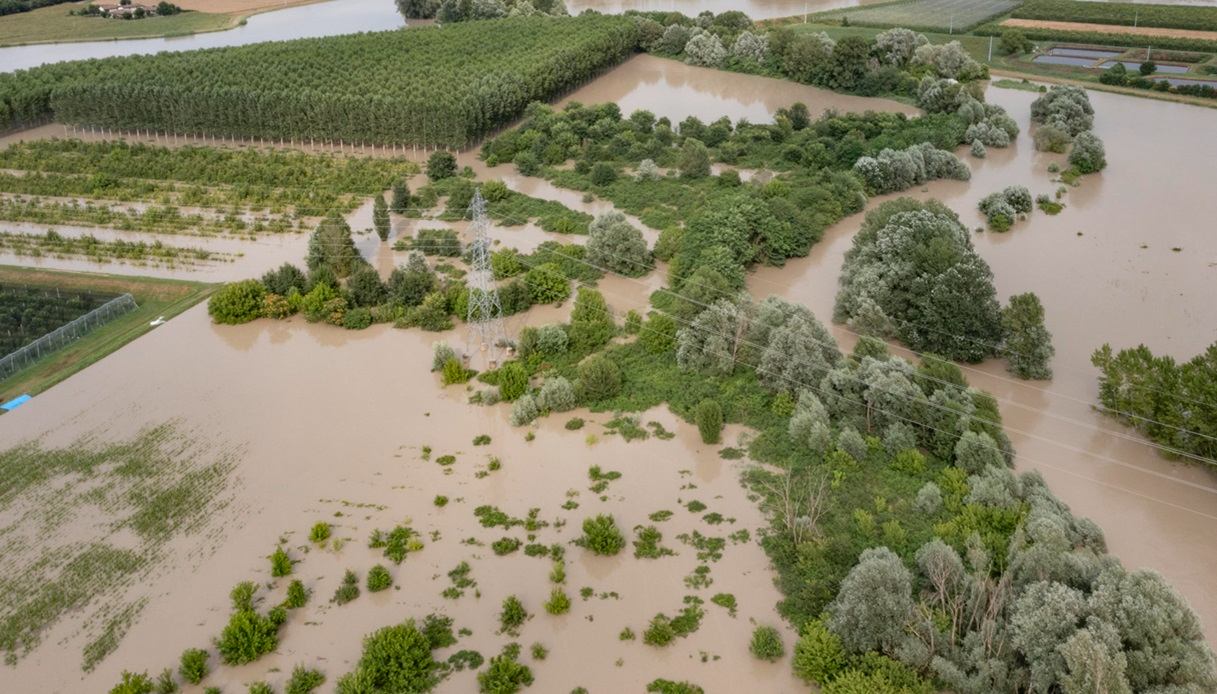 Alluvione Faenza danni