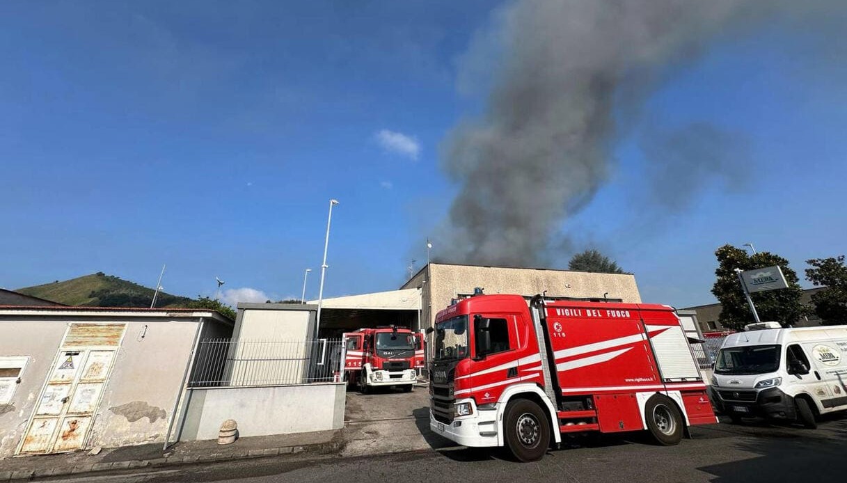 CORDINI DI GIRASOLE Per Badge Identificativi E Chiavi - Foto 3