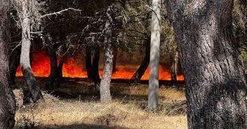 Lido Silvana donna morta incendio