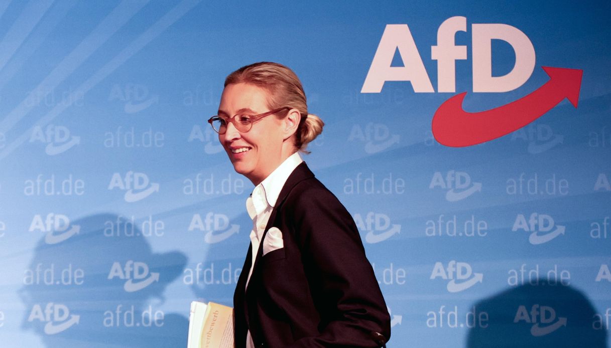 alice weidel afd dexit