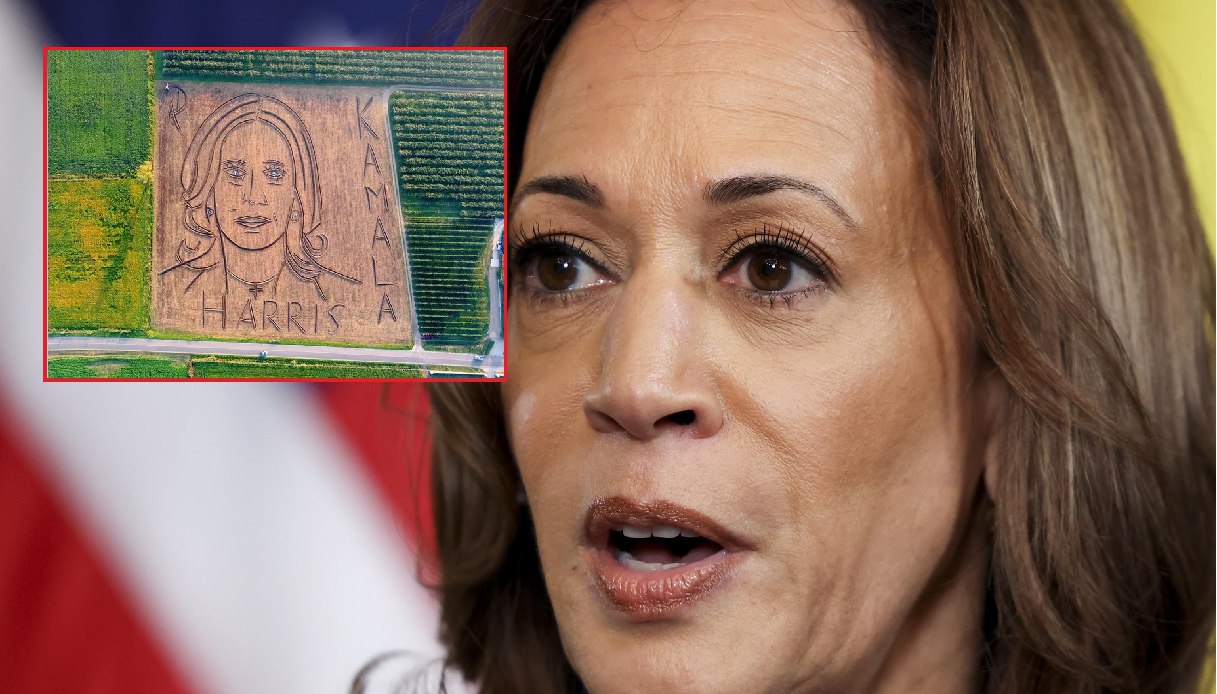 https://wips.plug.it/cips/notizie.virgilio.it/cms/2024/10/ritratto-kamala-harris-grano.jpg