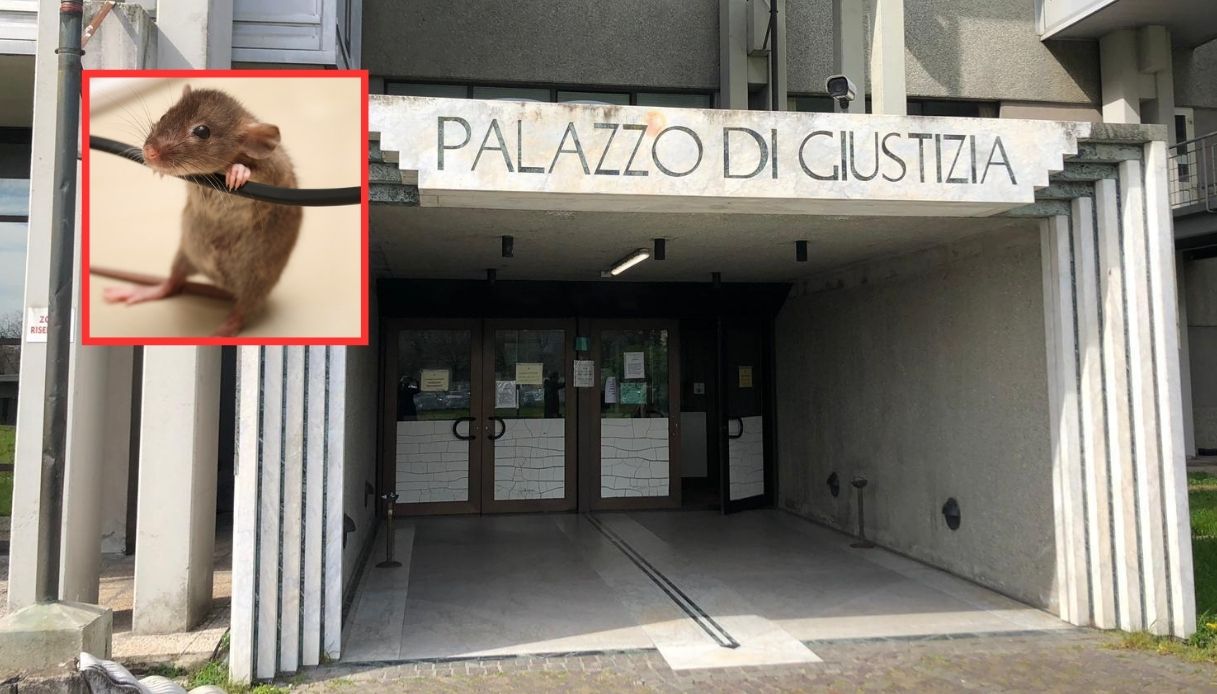 https://wips.plug.it/cips/notizie.virgilio.it/cms/2024/11/blackout-tribunale-prato-topo.jpg