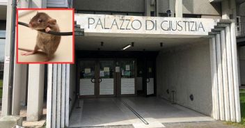 blackout tribunale prato topo