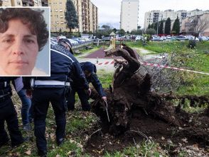 Un altro albero caduto a Roma il giorno dopo la morte di Francesca Ianni, danni alla tubatura e perdita di gas