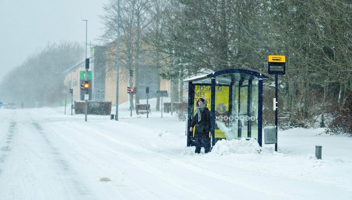 norvegia bus