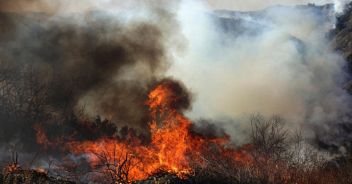 incendi-los-angeles-1