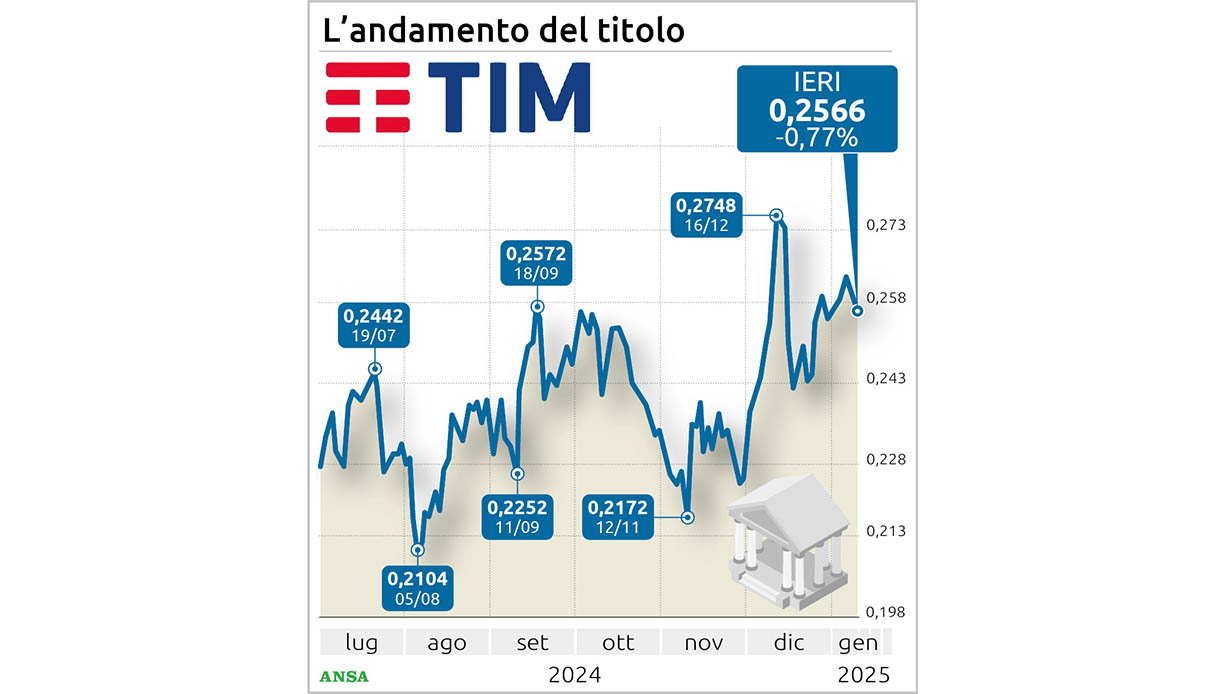 tim borsa