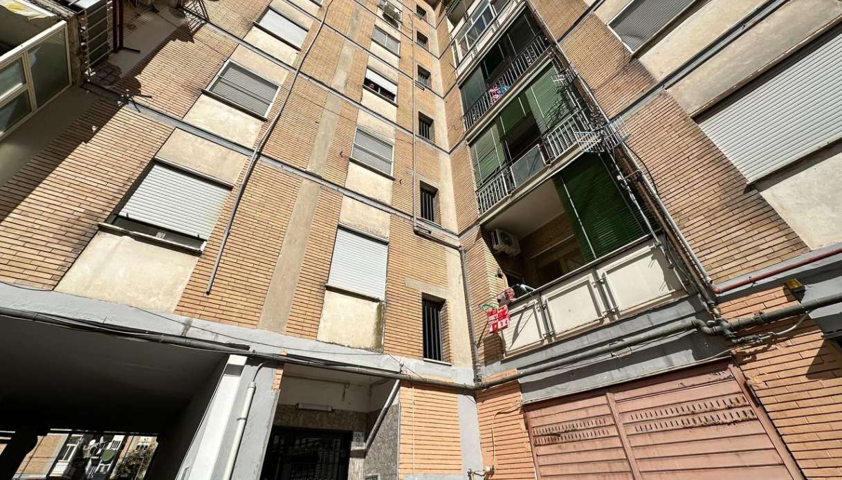 Bimba sbranata da Notizie.virgilio.it bimba sbranata dal pitbull ad acerra e uccisa papà indagato per omicidio colposo le accuse dopo la tragedia