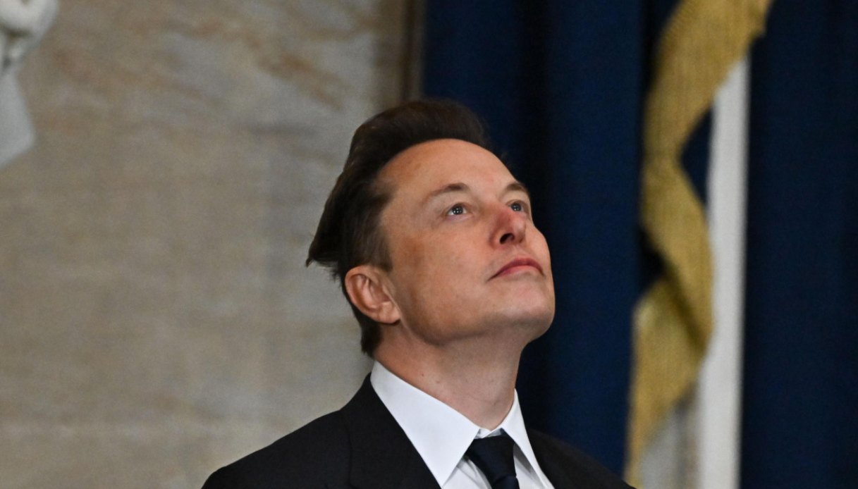 elon musk tesla politica vendite