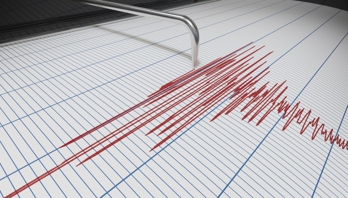 terremoto campi flegrei magnitudo sismografo