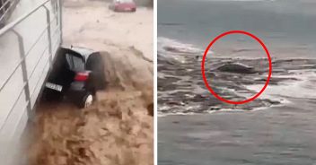 Canarie Alluvione video