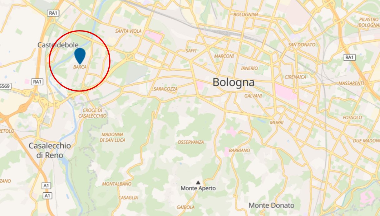 bologna donna balcone