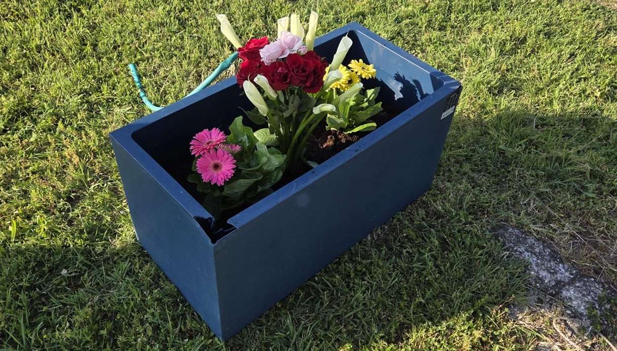 Anna Chiti fiori