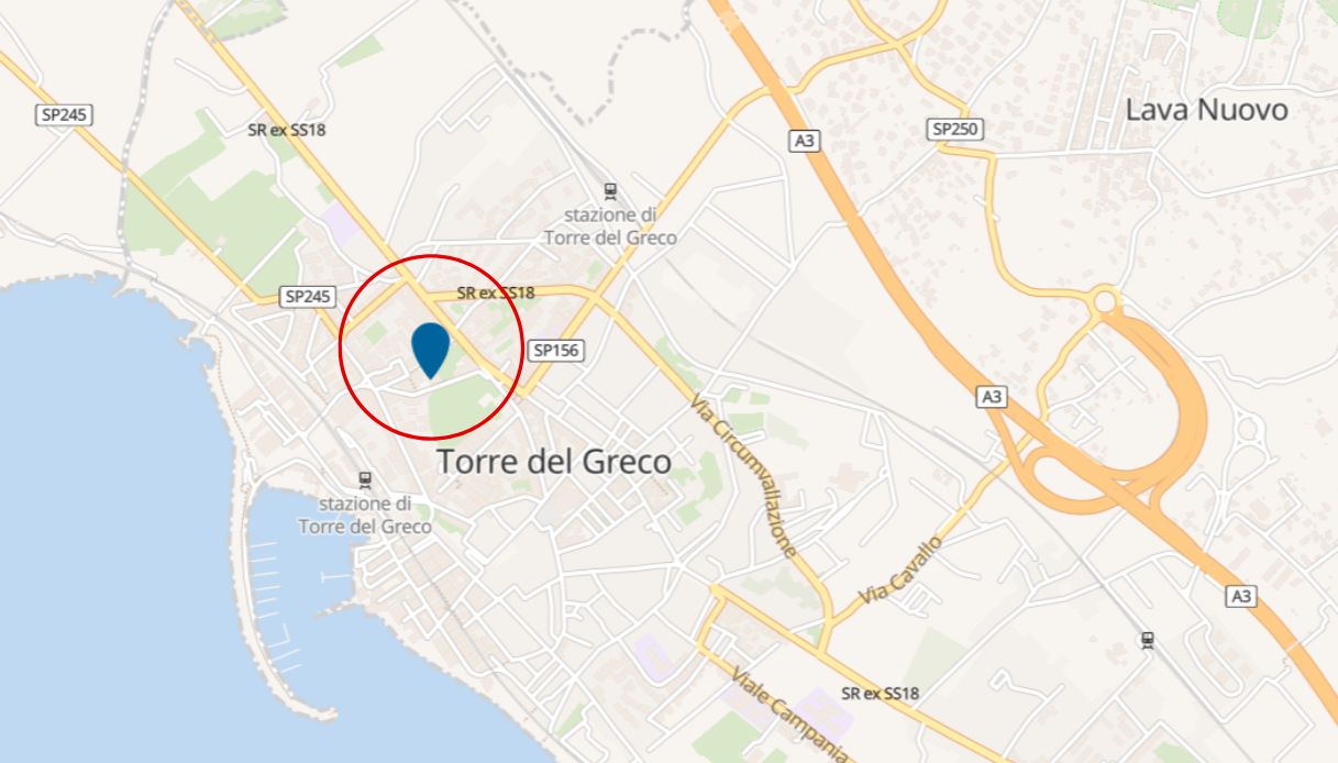 ascensore torre del greco famiglia