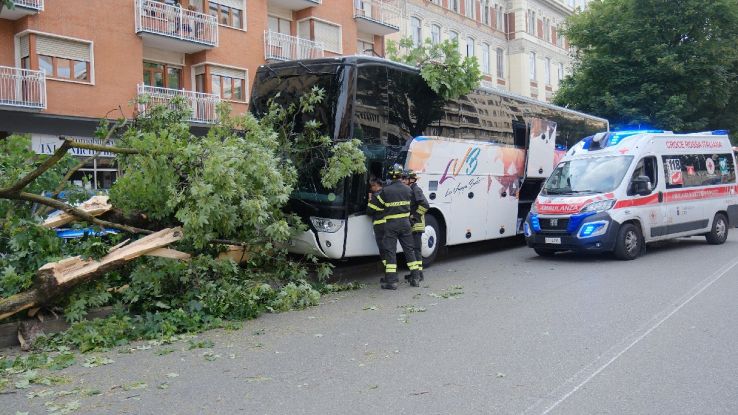 Autista perde il controllo del bus a Torino e si schianta contro un ...