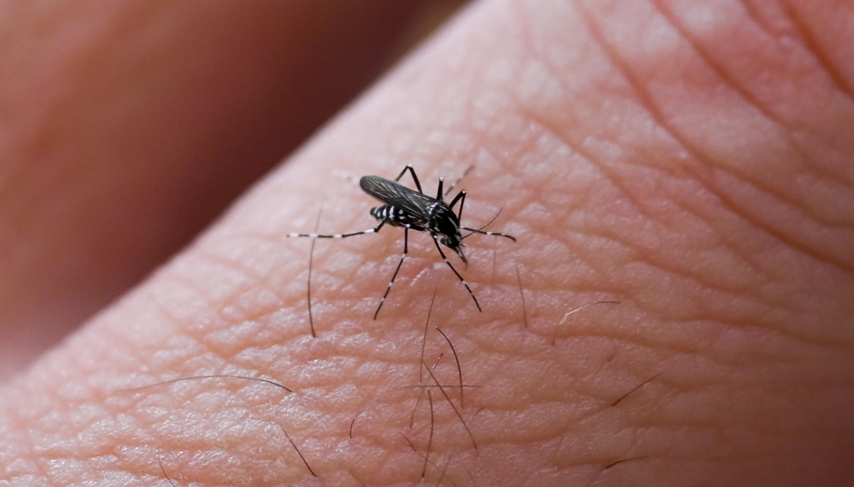 Caso di Dengue a Capiago Intimiano vicino Como, l Caso di Dengue a Capiago Intimiano vicino Como, l