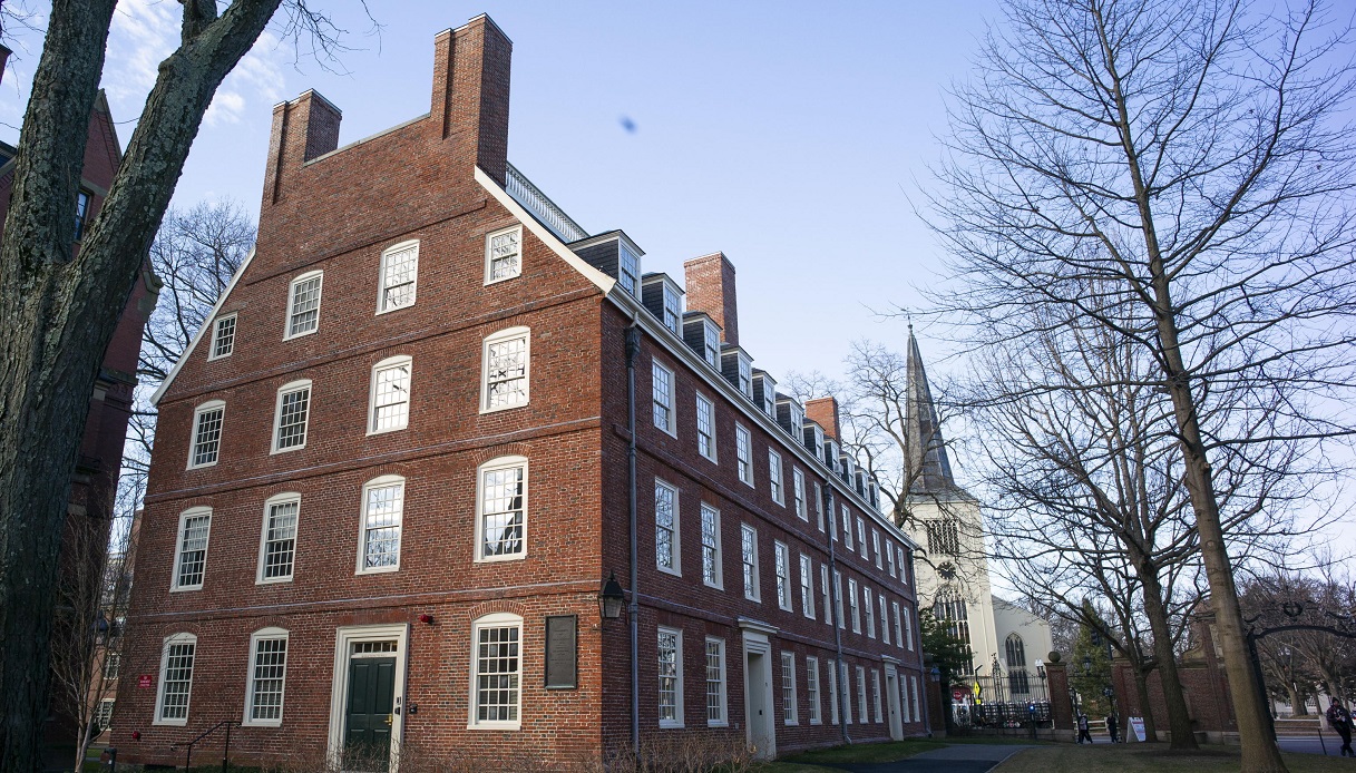 Harvard professoressa Francesca Gino