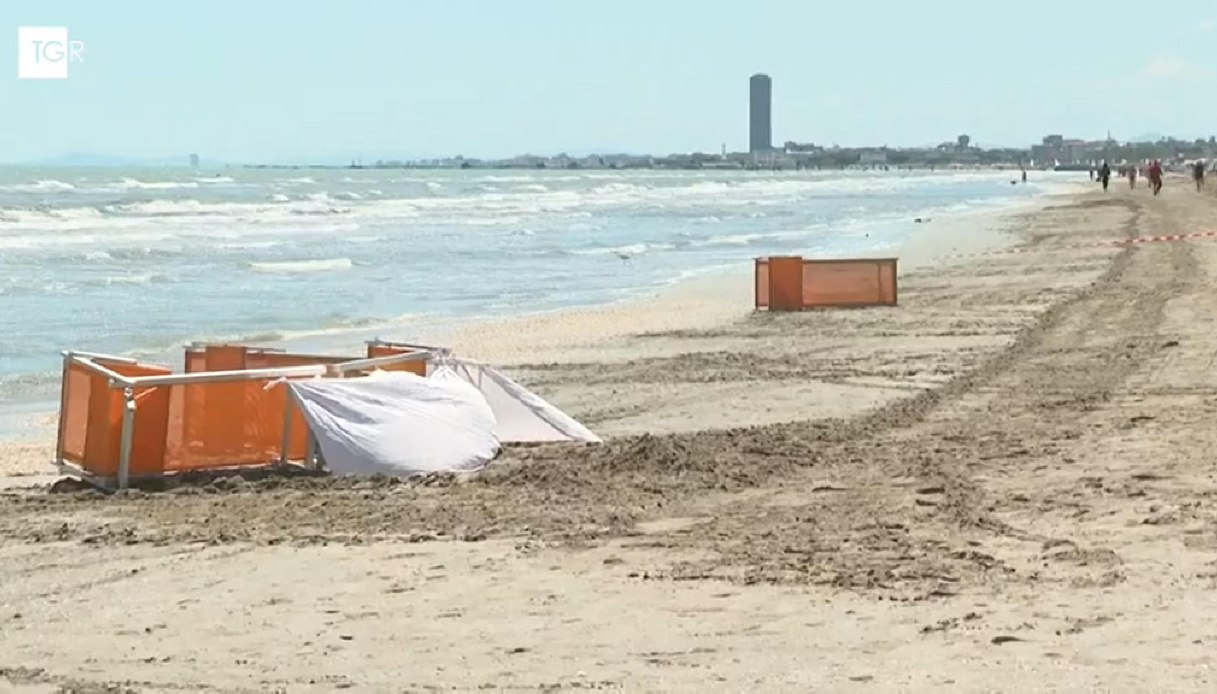 Elisa Spadavecchia uccisa dalla ruspa in spiaggia, Lerry Gnoli è positivo alla cocaina: "Nessuno diceva nulla" Elisa Spadavecchia uccisa dalla ruspa in spiaggia, Lerry Gnoli è positivo alla cocaina: "Nessuno diceva nulla"