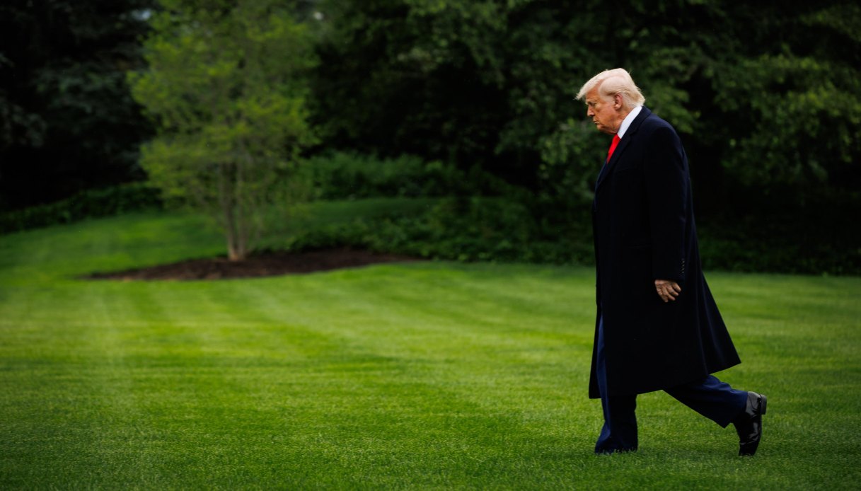 Harvard Donald Trump studenti