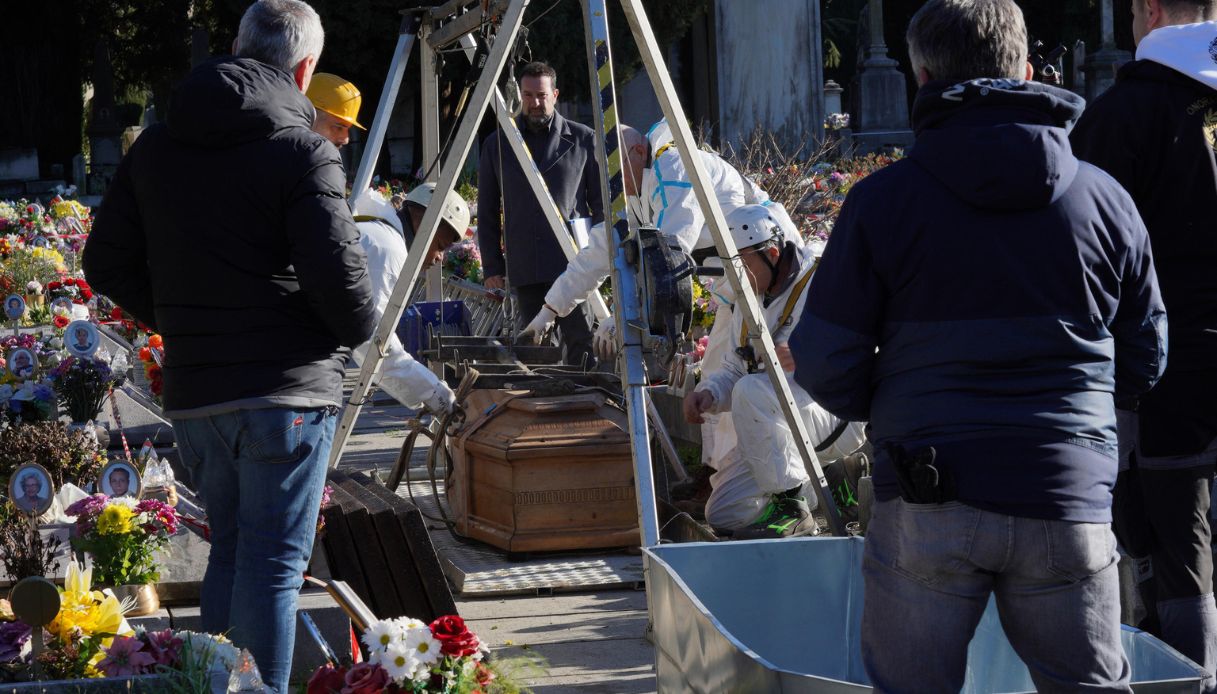 vertebra liliana resinovich