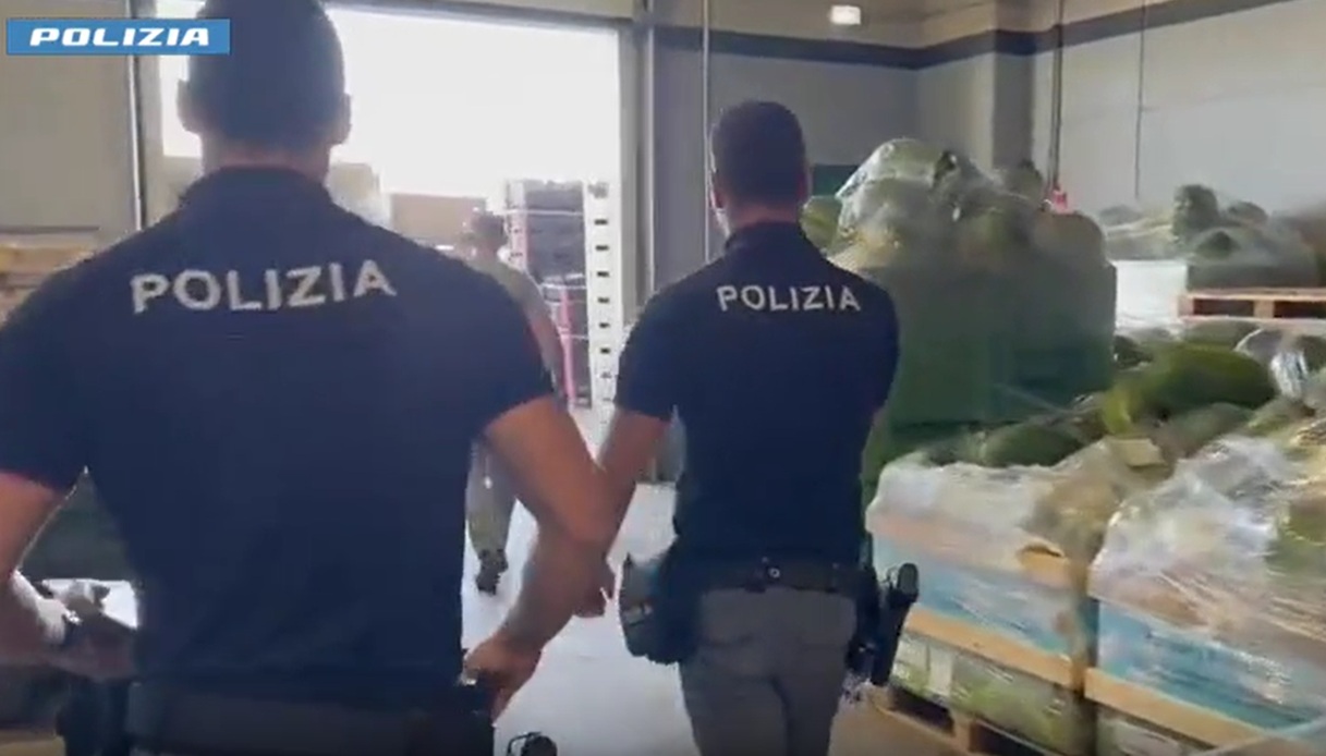 Sequestrati 38mila kg di frutta e verdura a Catania, maxi multa e che fine farà tutto il cibo non tracciabile Sequestrati 38mila kg di frutta e verdura a Catania, maxi multa e che fine farà tutto il cibo non tracciabile
