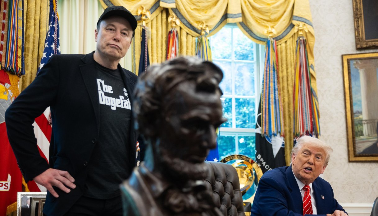 donald trump ed elon musk