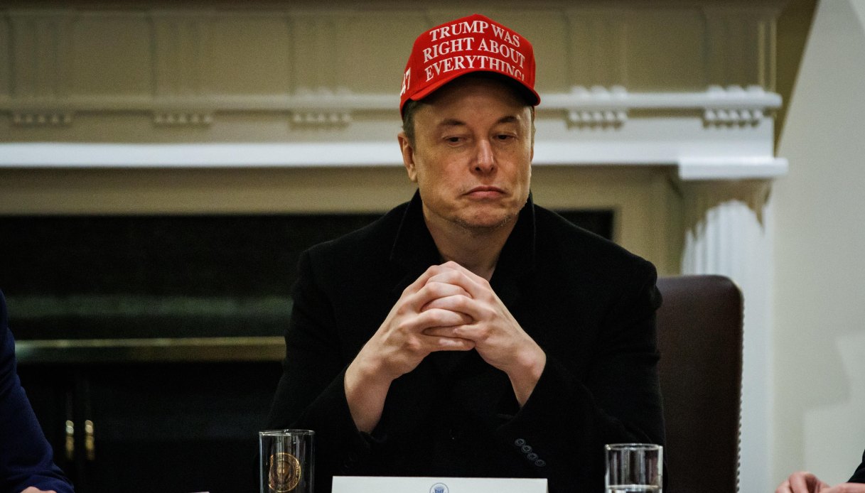 Elon Musk Donald Trump