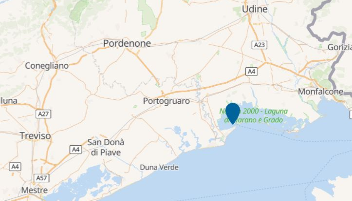 rissa lignano sabbiadoro udine martellate