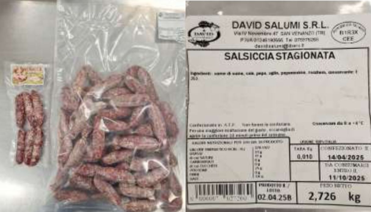 salsiccia stagionata salmonella lotto