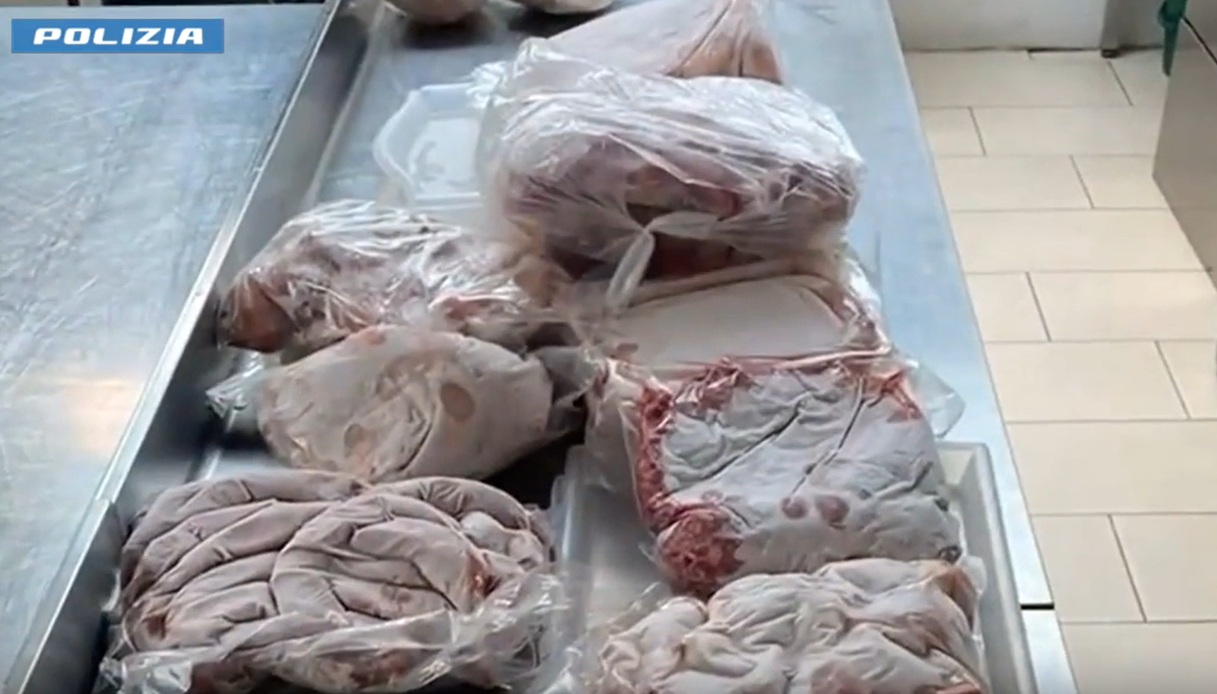 Il video del sequestro di 72 kg di carne in una casa di riposo a Catania, in che condizioni era il cibo