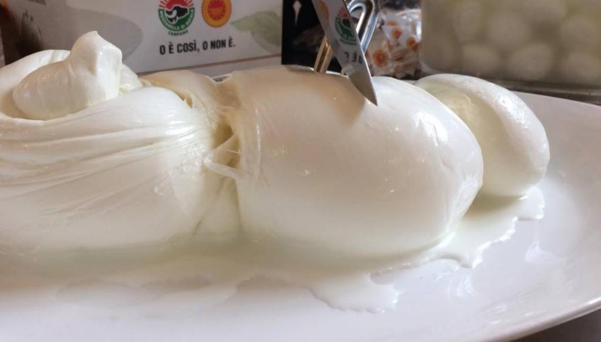 Mozzarella di bufala campana dop
