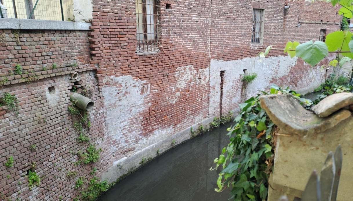 delitto Garlasco canale