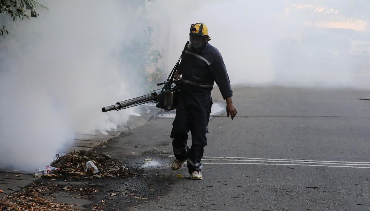 https://wips.plug.it/cips/notizie.virgilio.it/cms/2025/07/dengue-pisa.jpg