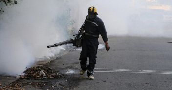 dengue pisa