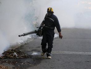 Caso di Dengue anche a Pisa in via delle Lenze, parte la disinfestazione con l'ordinanza. Le raccomandazioni