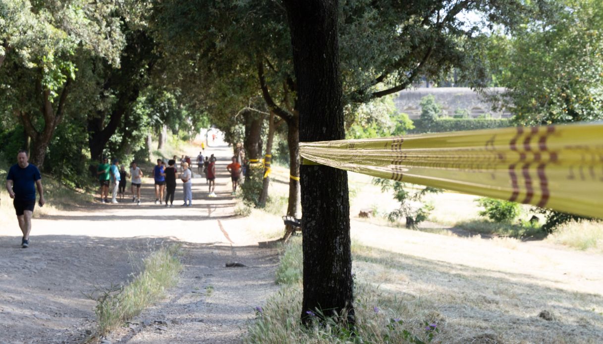 Villa Pamphili Francis Kaufmann cuscino