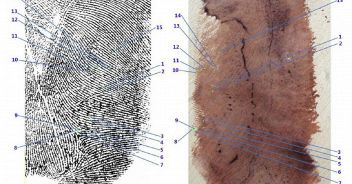 garlasco-stasi-andrea-sempio-impronta-33