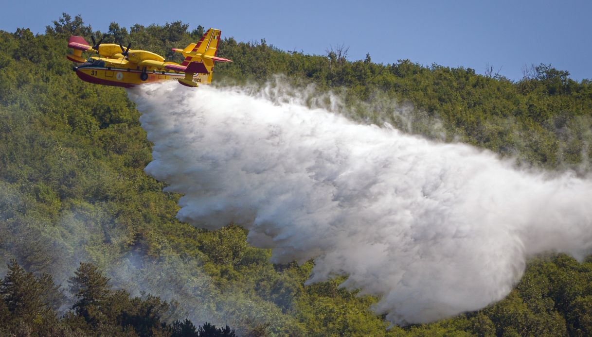 Violento incendio a Metaponto a Matera, pineta in fiamme e paura per i turisti del campeggio evacuati via mare Violento incendio a Metaponto a Matera, pineta in fiamme e paura per i turisti del campeggio evacuati via mare