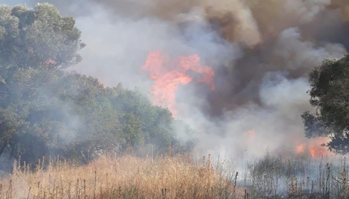 Incendio vicino all Incendio vicino all