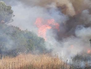Incendio vicino all'aeroporto di Olbia e voli dirottati, disagi per i viaggiatori diretti in Sardegna