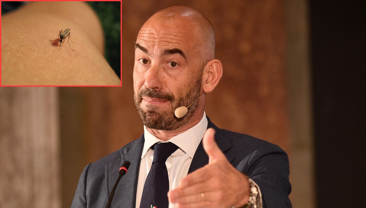 https://wips.plug.it/cips/notizie.virgilio.it/cms/2025/07/matteo-bassetti-zanzara-west-nile-1.jpg