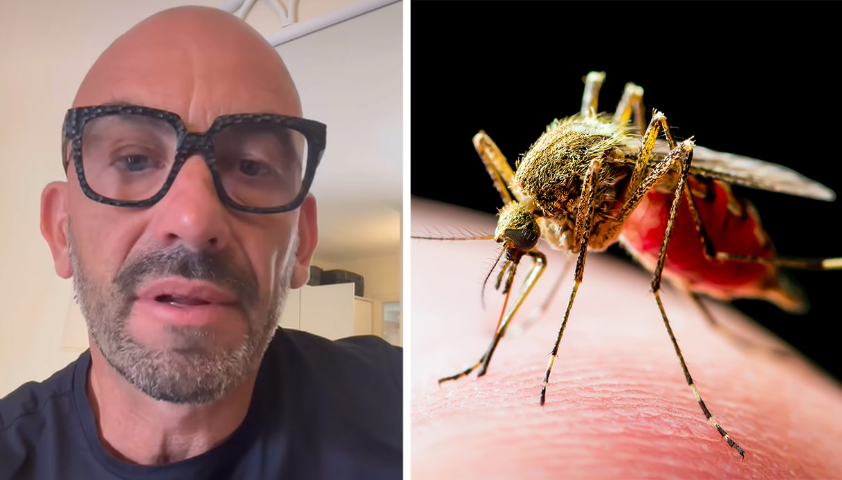 https://wips.plug.it/cips/notizie.virgilio.it/cms/2025/07/matteo-bassetti-zanzara-west-nile.jpg